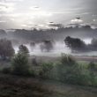 Nebel bei Ceccano/Lazio 1