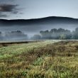 Nebel bei Ceccano/Lazio 2