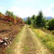 Weg zwischen Pastena und Pico/Lazio