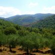 Landschaft zwischen Pastena und Pico/Lazio